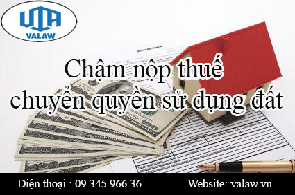 Chậm nộp thuế chuyển quyền sử dụng đất