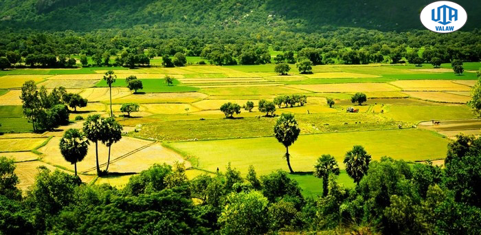 Thủ tục giải thể doanh nghiệp tại An Giang